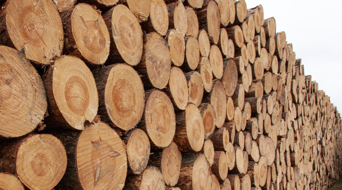 EUA passarão a exigir Declaração Lacey Act para produtos de madeira e de origem vegetal: móveis estão na lista