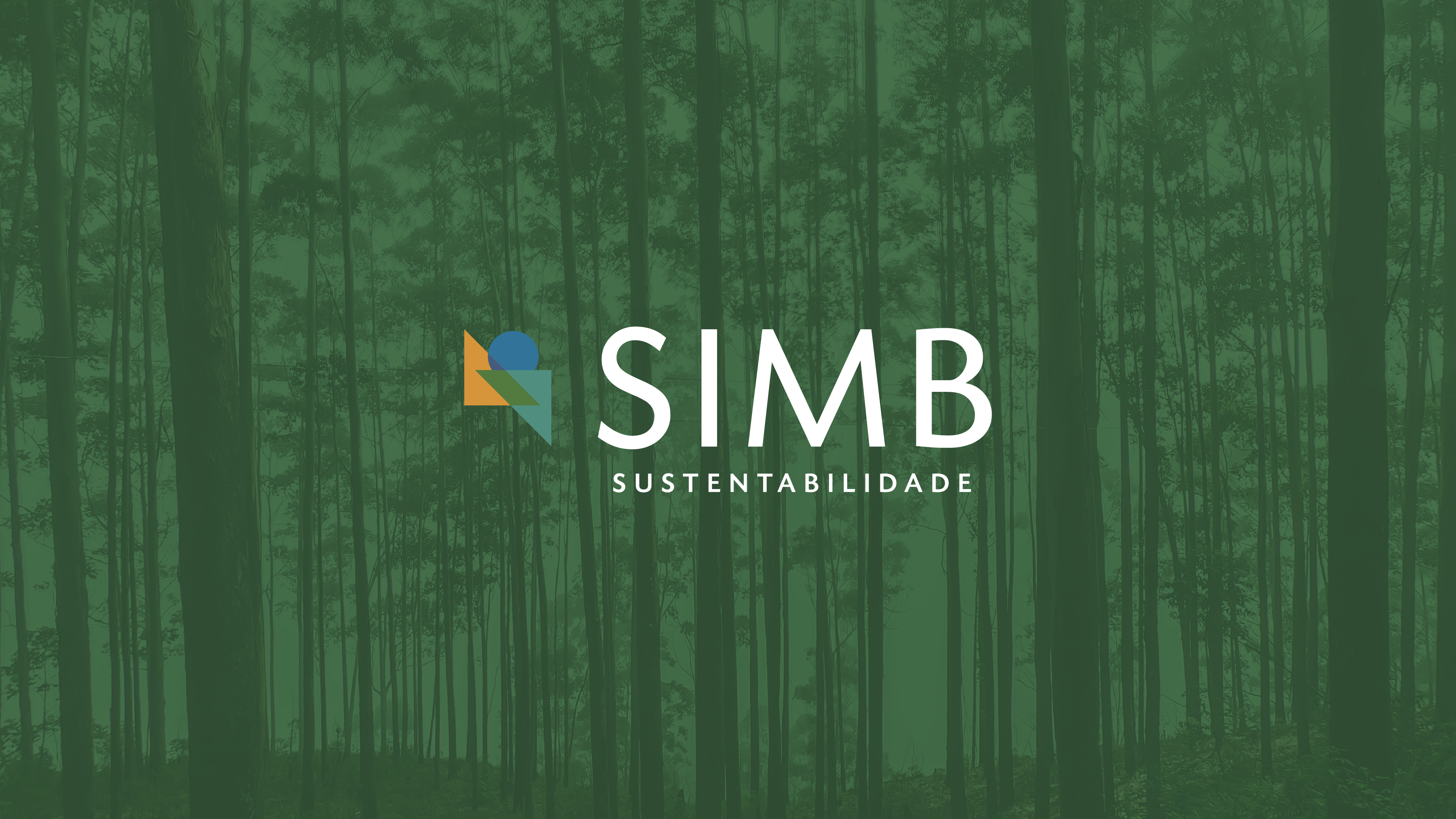 Brazilian Furniture lança novo Ciclo do Programa de Sustentabilidade do Setor do Mobiliário: SIMB 2024/2025